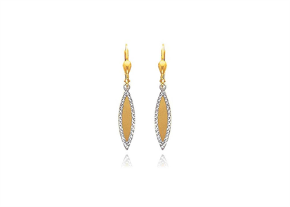 2 Tone Plated | Fashion Earrings